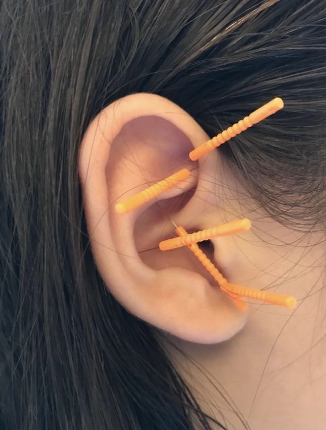 251858053 322106789722700 7577118580477259037 n